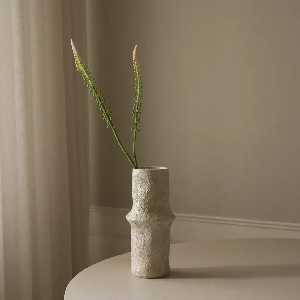 Botané Studios Actaea Racemosa "Fairy Candle" Flower Light Pink
