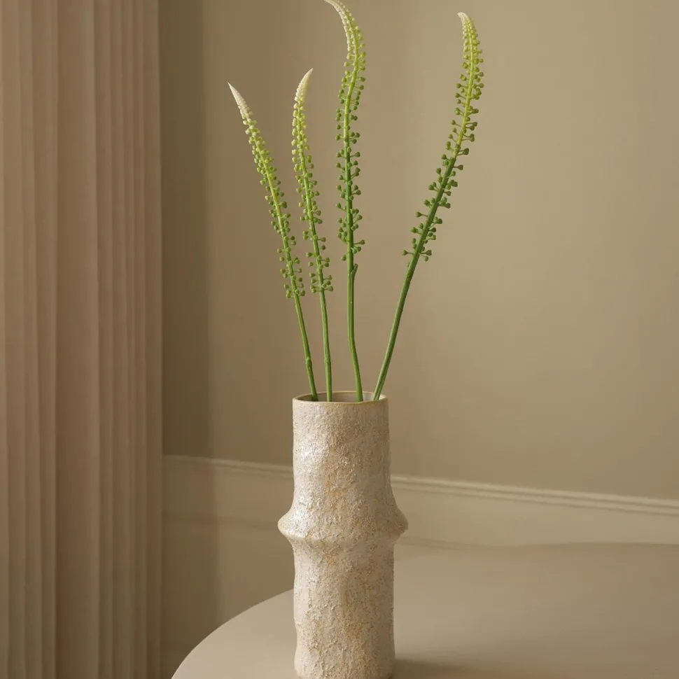 Botané Studios Actaea Racemosa "Fairy Candle" Flower White