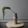 Botané Studios Amaranthus Flower Green