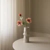 Botané Studios Anemone Flower Champagne