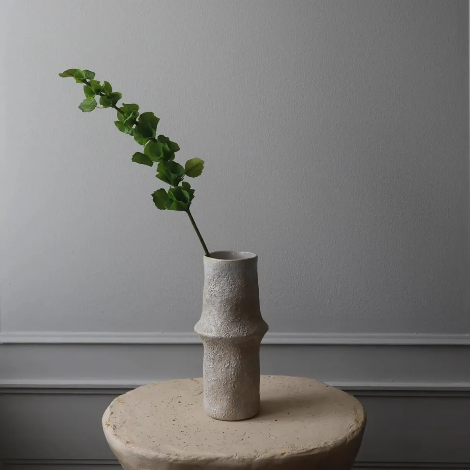 Botané Studios Bells Of Ireland Flower Green