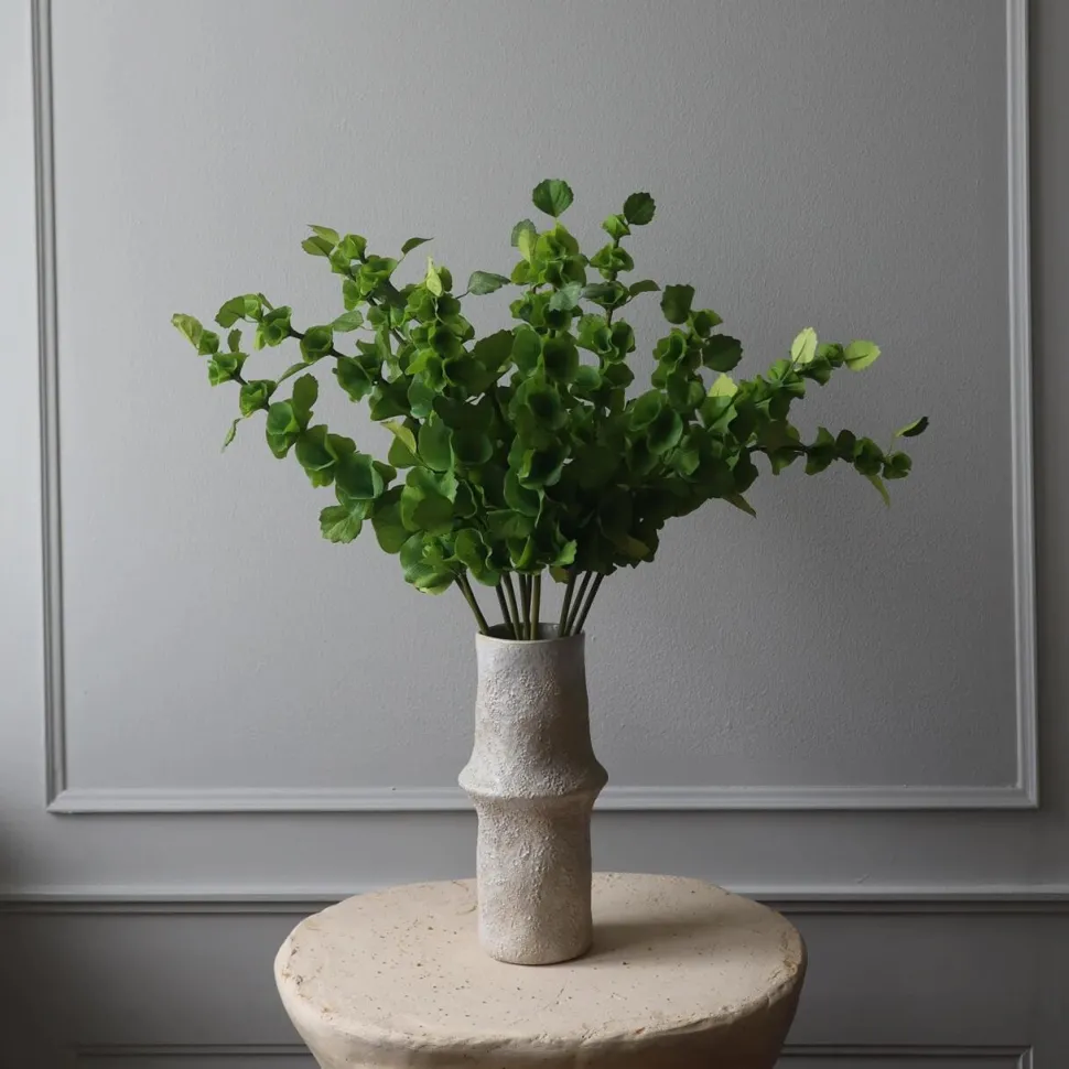Botané Studios Bells Of Ireland Flower Green
