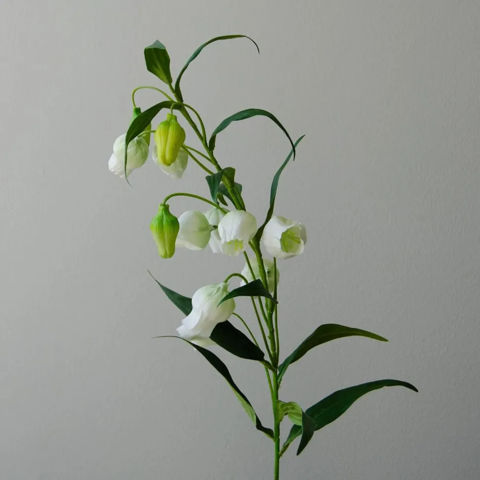 Botané Studios Chinese Lantern Lily Flower White
