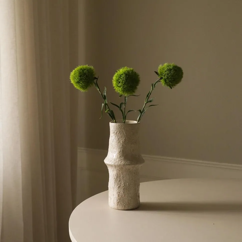 Botané Studios Dianthus Barbatus "Green Ball" Flower Green