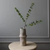 Botané Studios Eucalyptus Three Leave Green