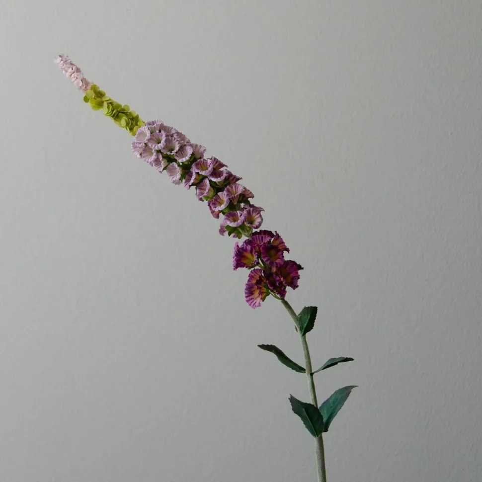 Botané Studios Foxtail Flower Purple