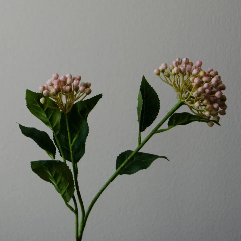 Botané Studios Hydrangea Berry Branch Rose