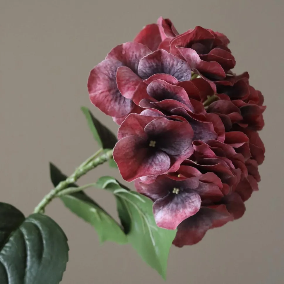 Botané Studios Hydrangea Flower Burgundy