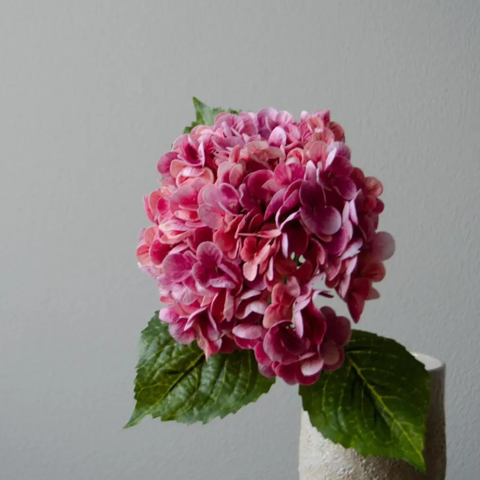 Botané Studios Hydrangea Flower Pink