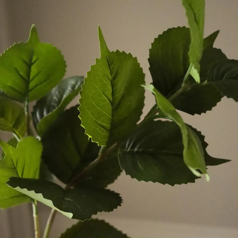 Botané Studios Hydrangea Leaves Green