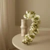 Botané Studios Majestic Orchid Flower Green