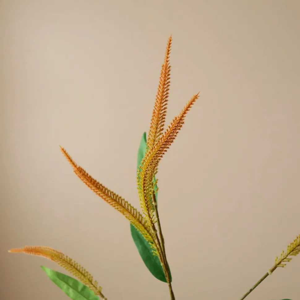 Botané Studios Mini Amaranthus Branch Orange