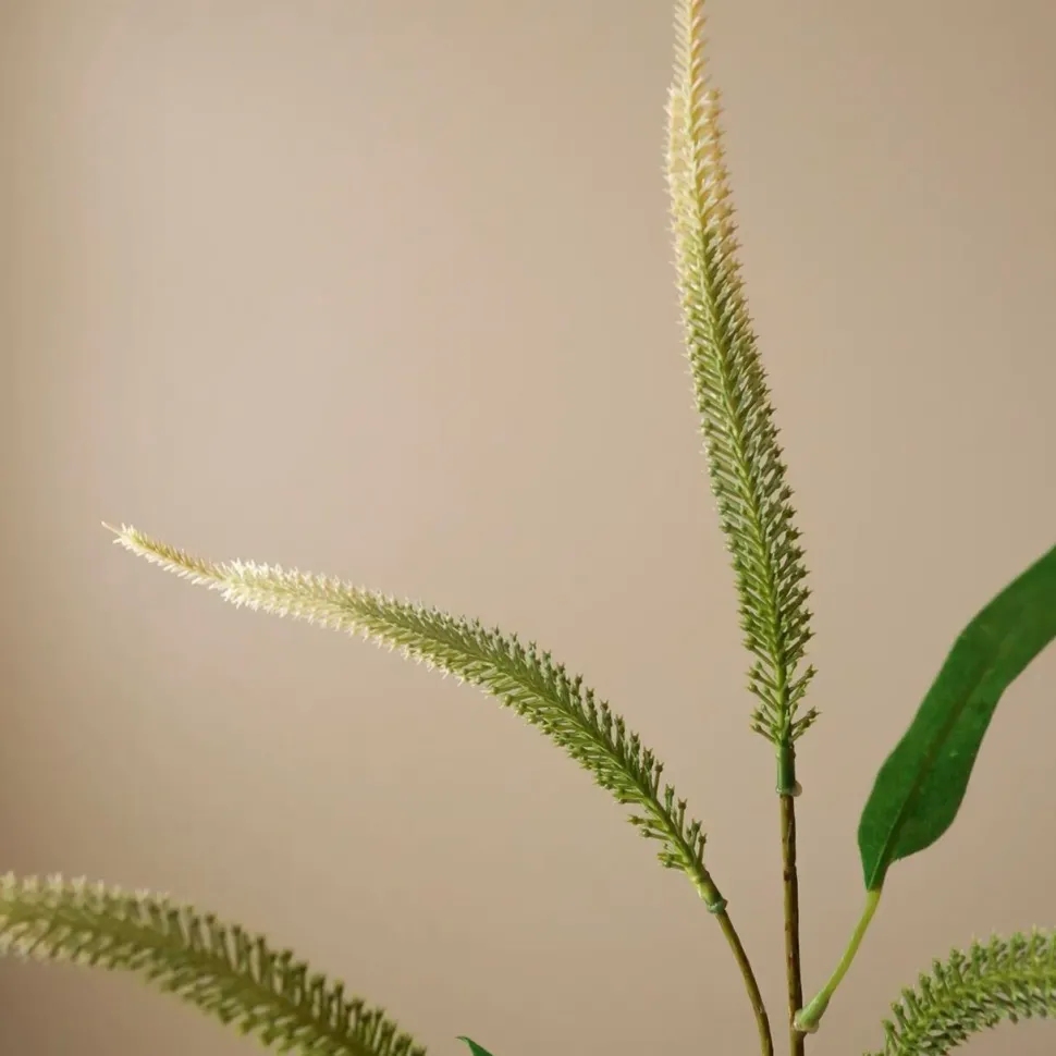 Botané Studios Mini Amaranthus Branch Green