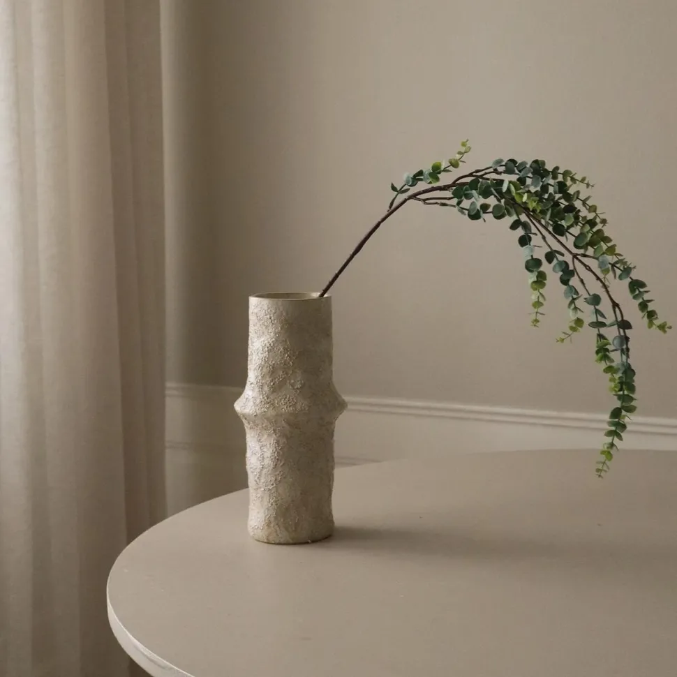 Botané Studios Parvifolia 'Gunni' Eucalyptus Leave Green
