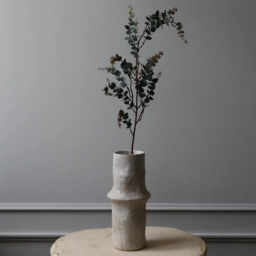 Botané Studios Parvifolia 'Gunni' Eucalyptus Leave Dark Green
