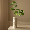 Botané Studios Plum Aralia Leave Green