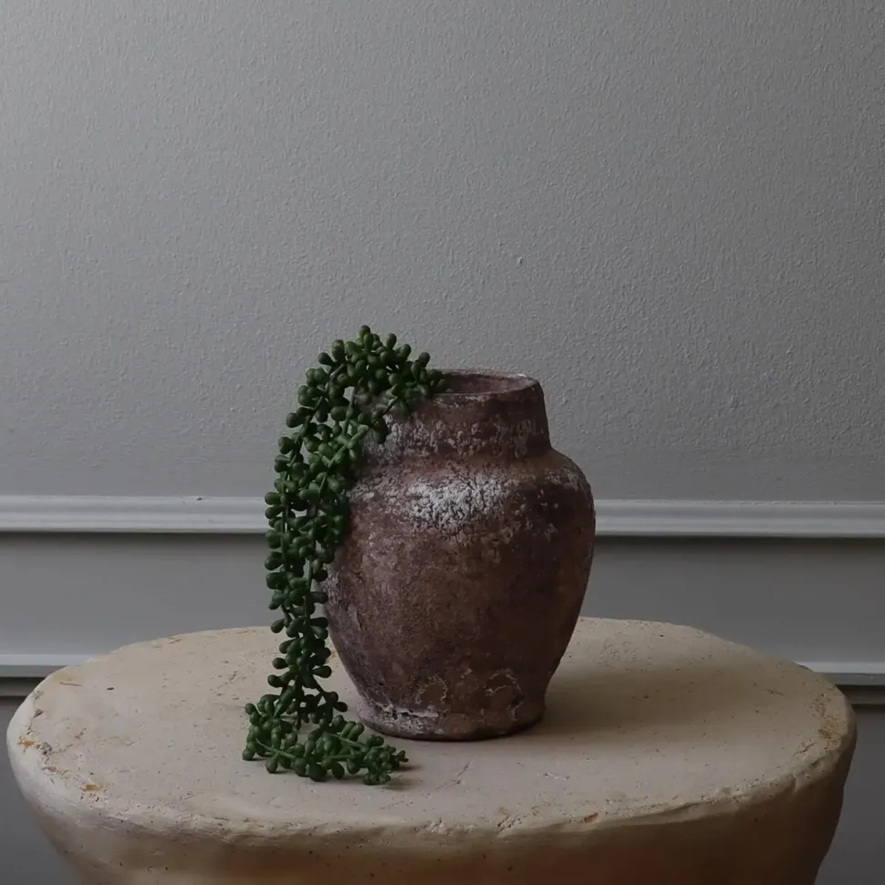 Botané Studios Ruby Necklace Succulent Stem Green
