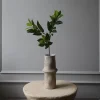 Botané Studios Ruscus Leave Green