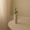 Botané Studios Small Berry Branch Green