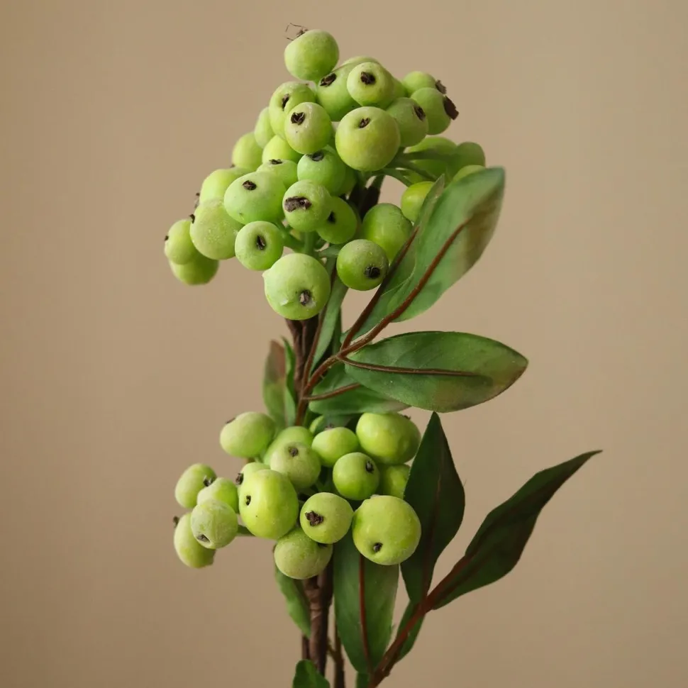 Botané Studios Small Berry Branch Green