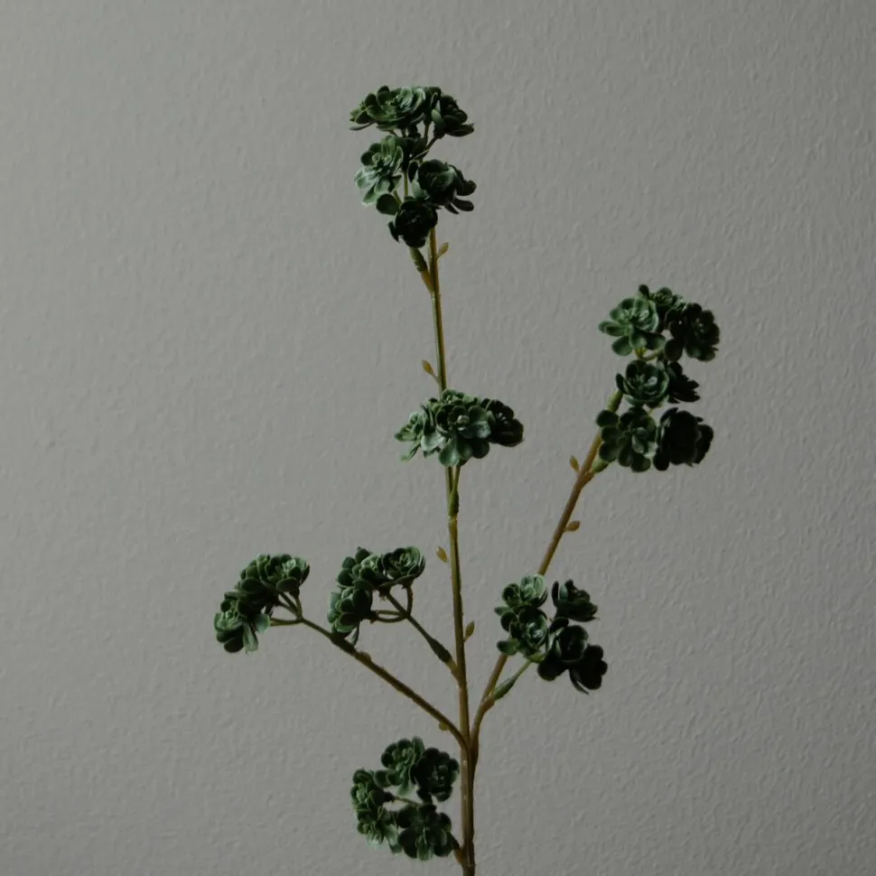 Botané Studios Succulent Stem Green