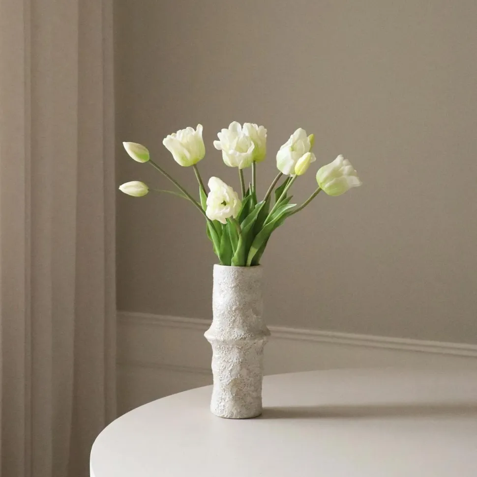 Botané Studios Triumpf Tulip White (5 pieces)