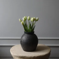 Botané Studios Tulip Bundle White (5 pieces)