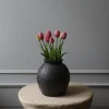 Botané Studios Tulip Bundle Pink (5 pieces)