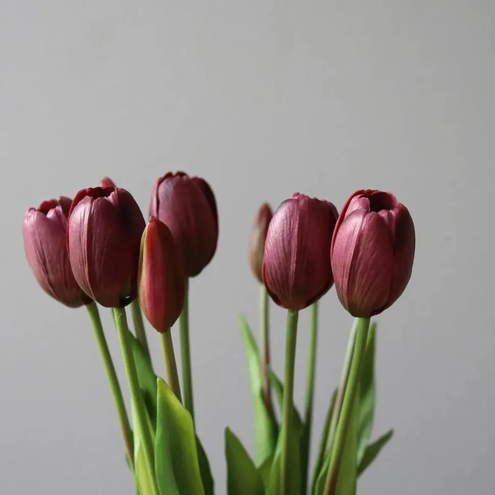 Botané Studios Tulip Bundle Purple (5 pieces)