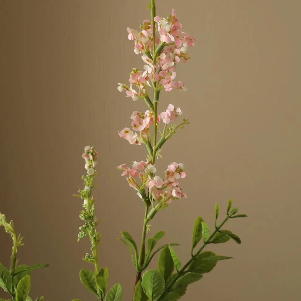 Botané Studios Wild Flower Light Pink