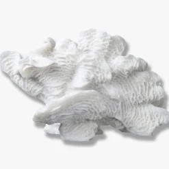 Mette Ditmer Coral Fan White