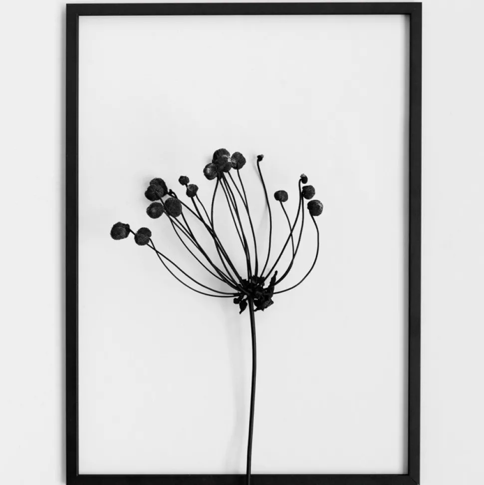 Moebe Black Frame A4
