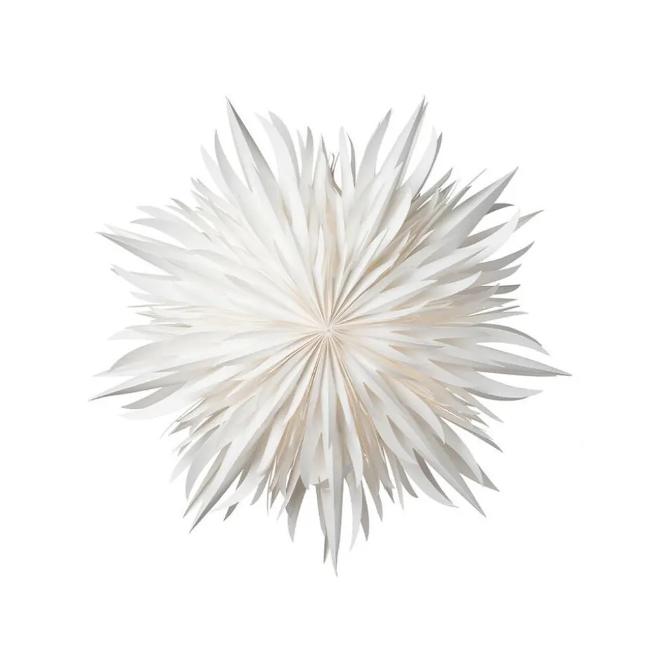 Watt & Veke Eldig 52 White