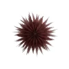 Watt & Veke Liz 50 Red Ochre